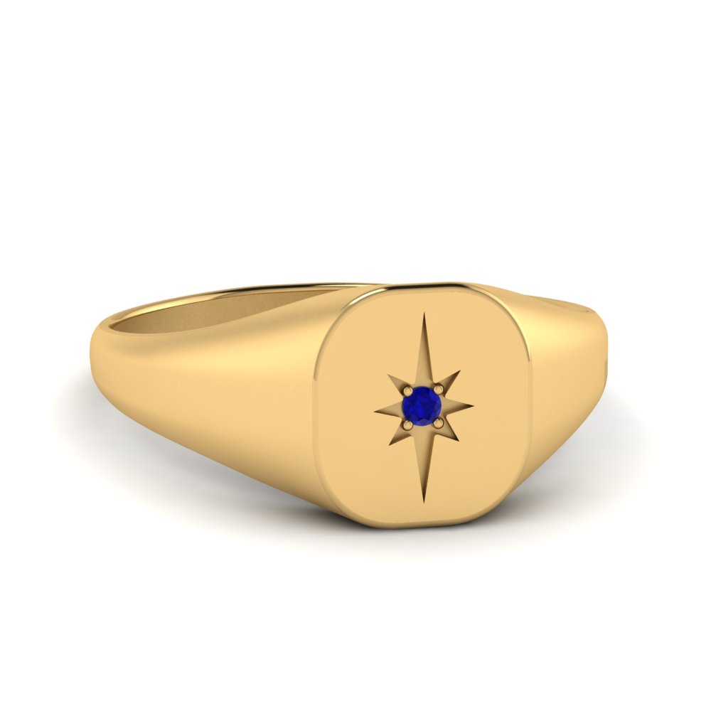 9kt yellow gold Hanging Basket sapphire signet ring Farfetch Herren Accessoires Schmuck Ringe 